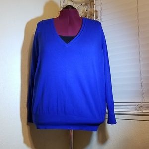 Lane Bryant V-neck sweater